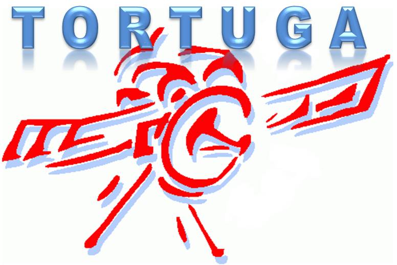logo tortuga